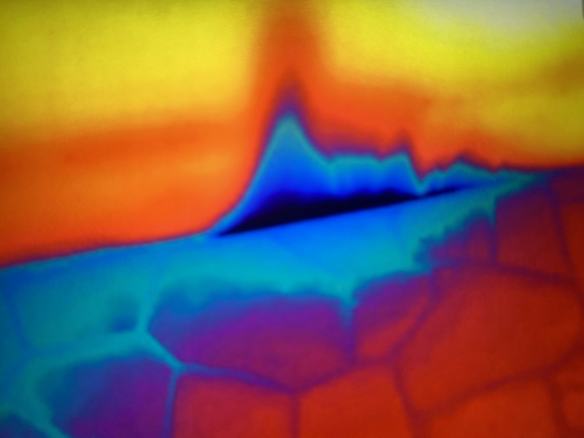FLIR Thermal Roof & Wall Inspections