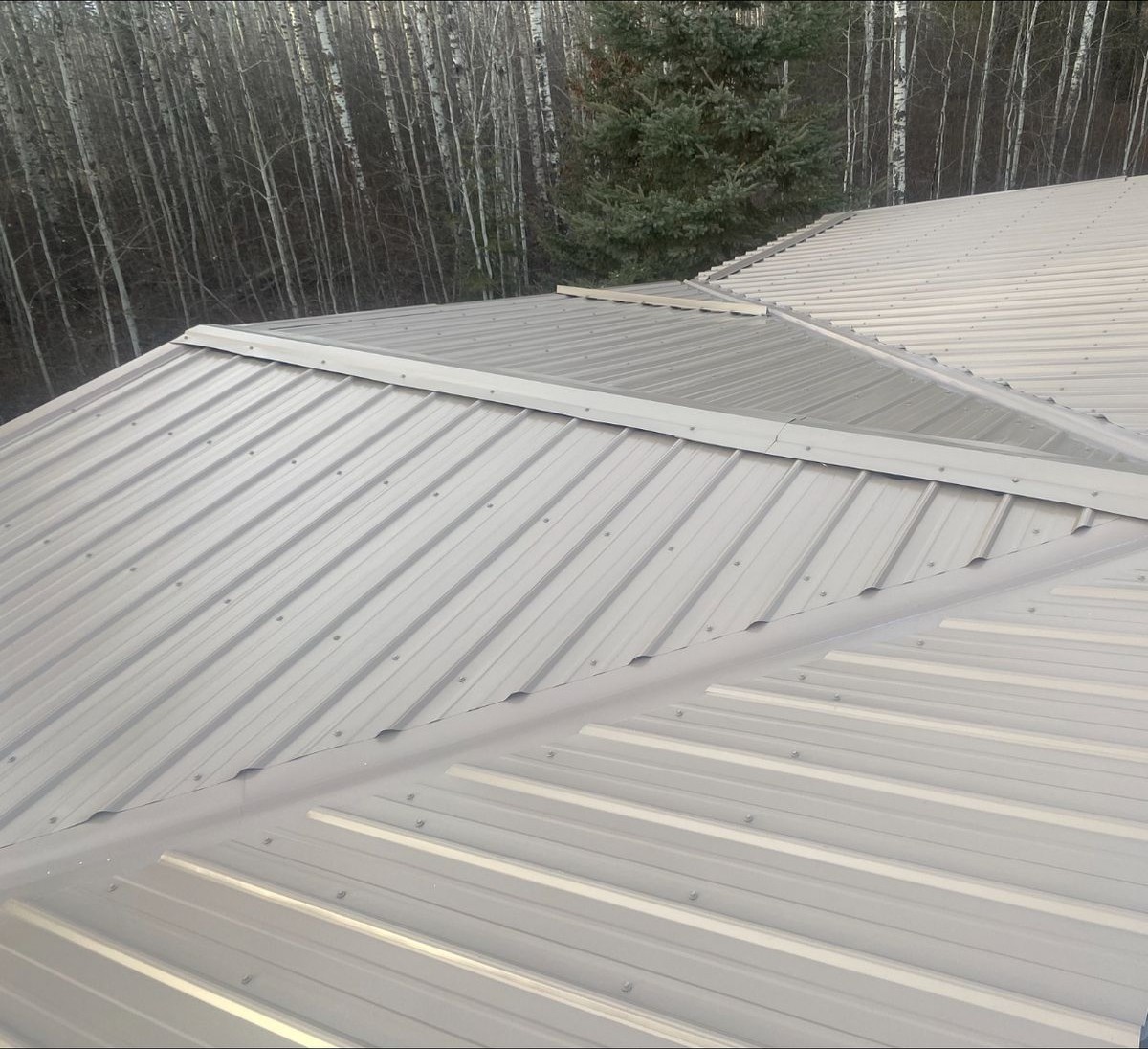 Metal Roof — Acreage