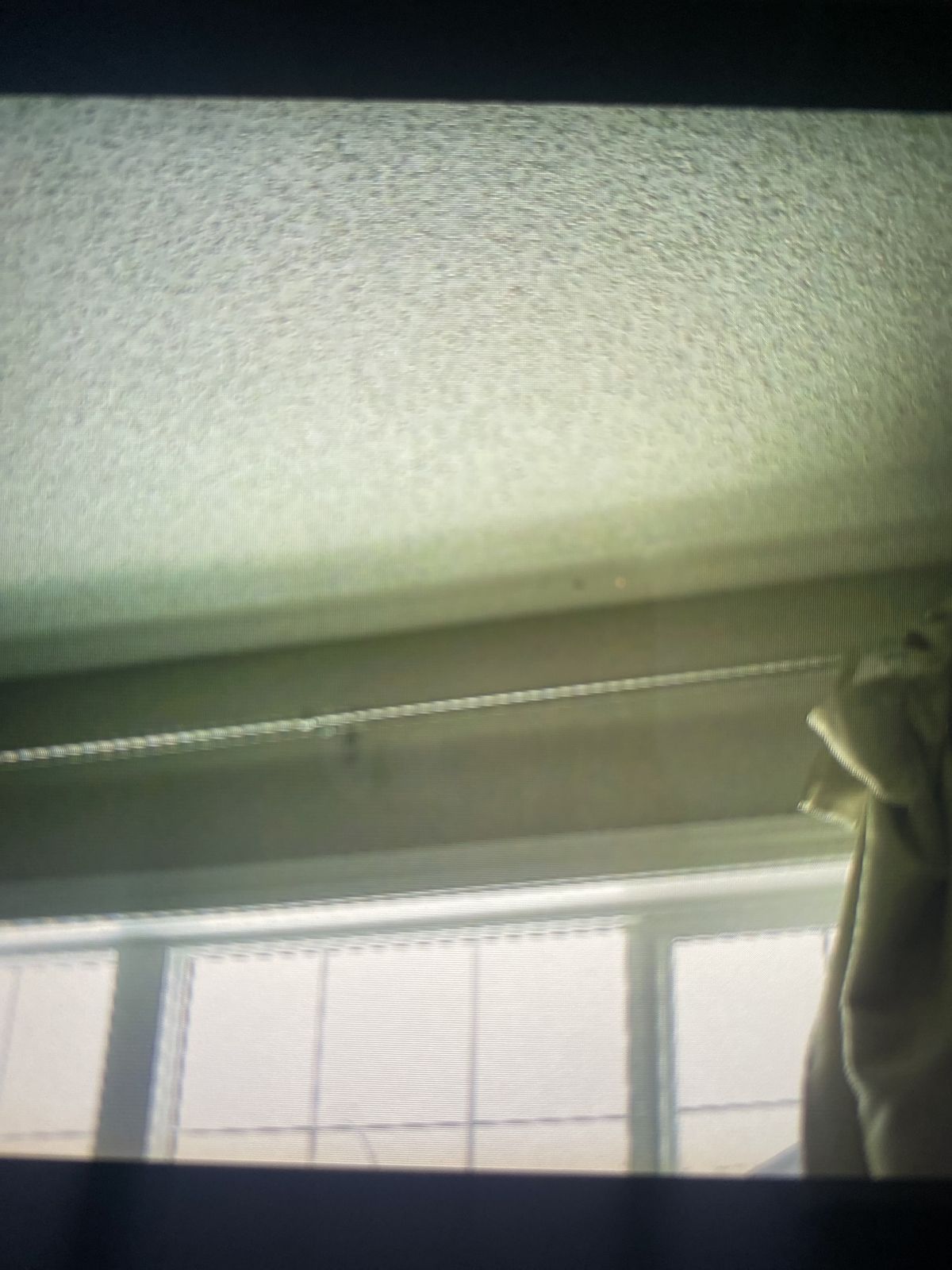 Window & Door Seal Inspection