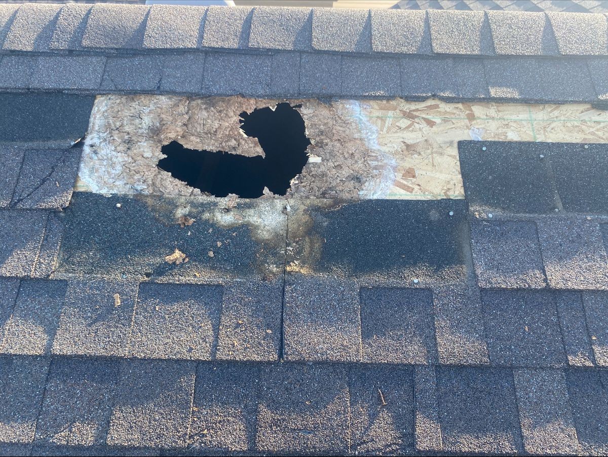 Fascia board replacement and aluminum capping on a Parkland County home